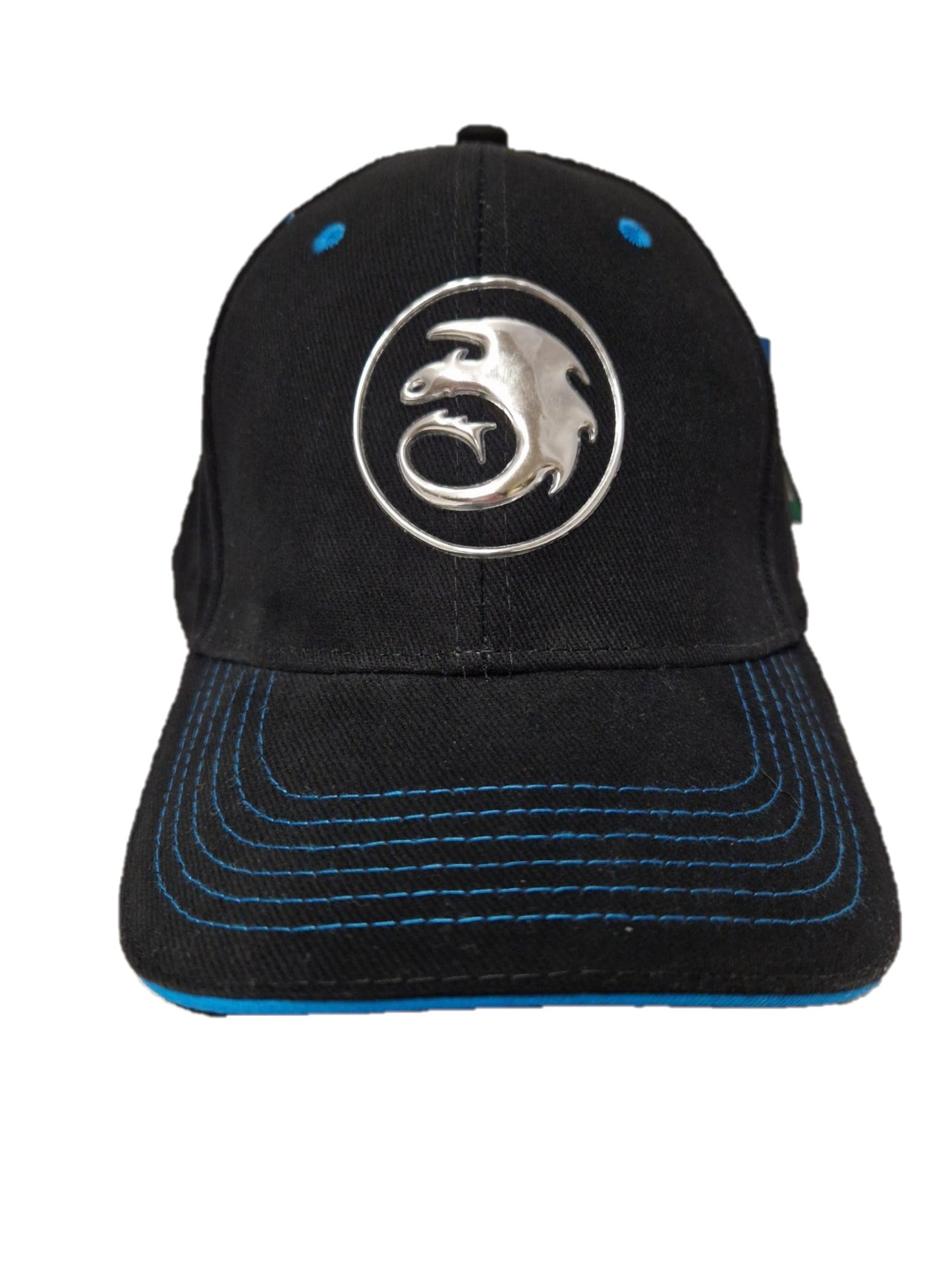 Drachenzähmen Cap
