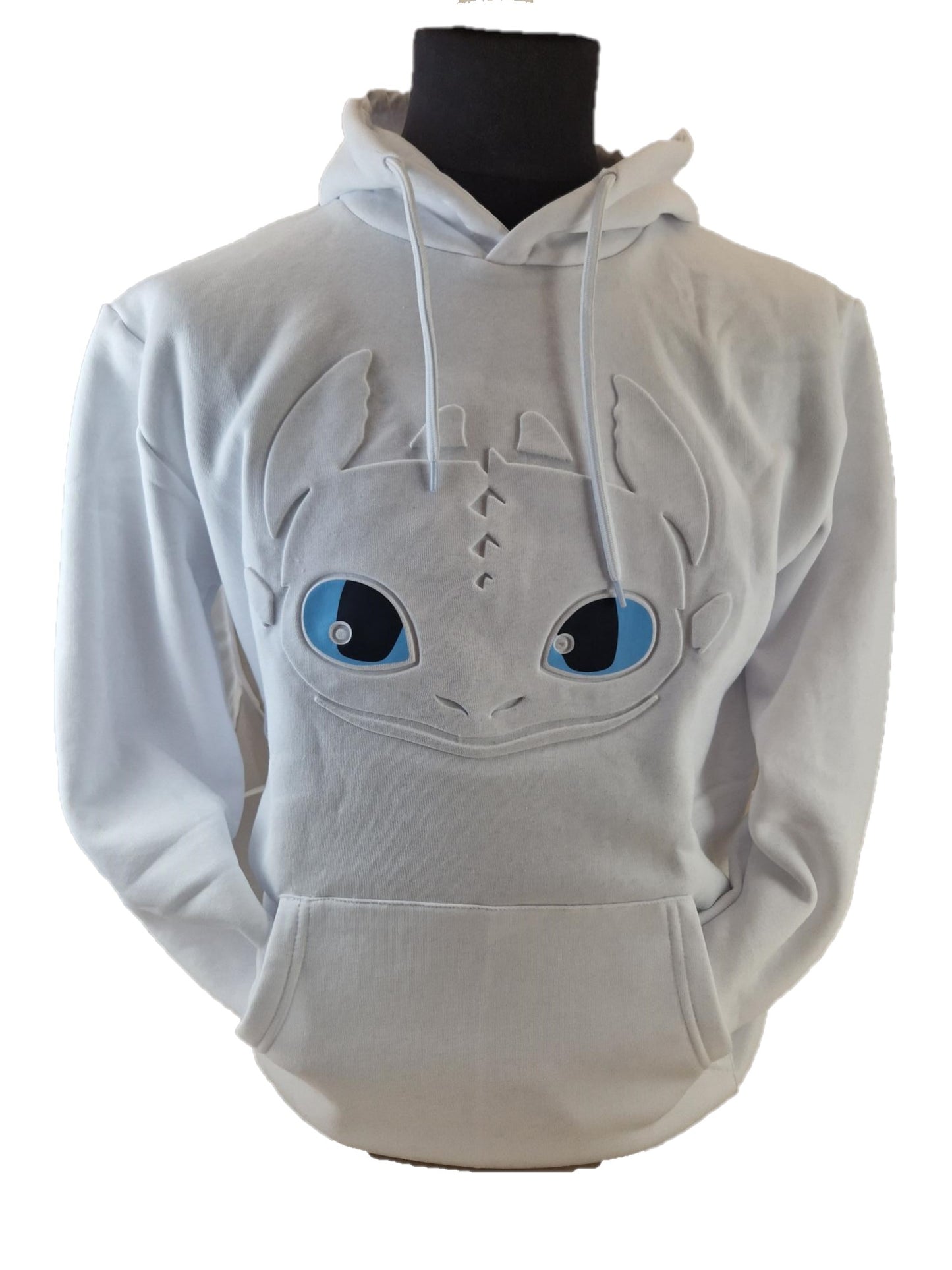 Drachenzähmen Hoody