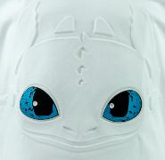 Drachenzähmen T-Shirt Tagschatten