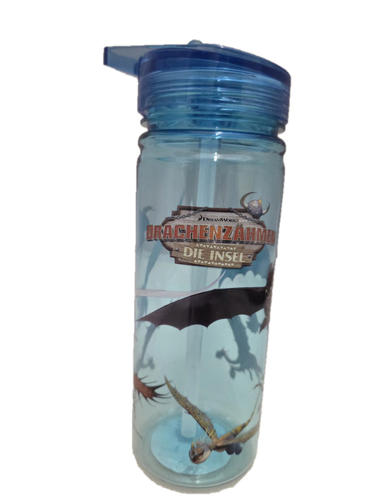 Drachenzähmen Trinkflasche