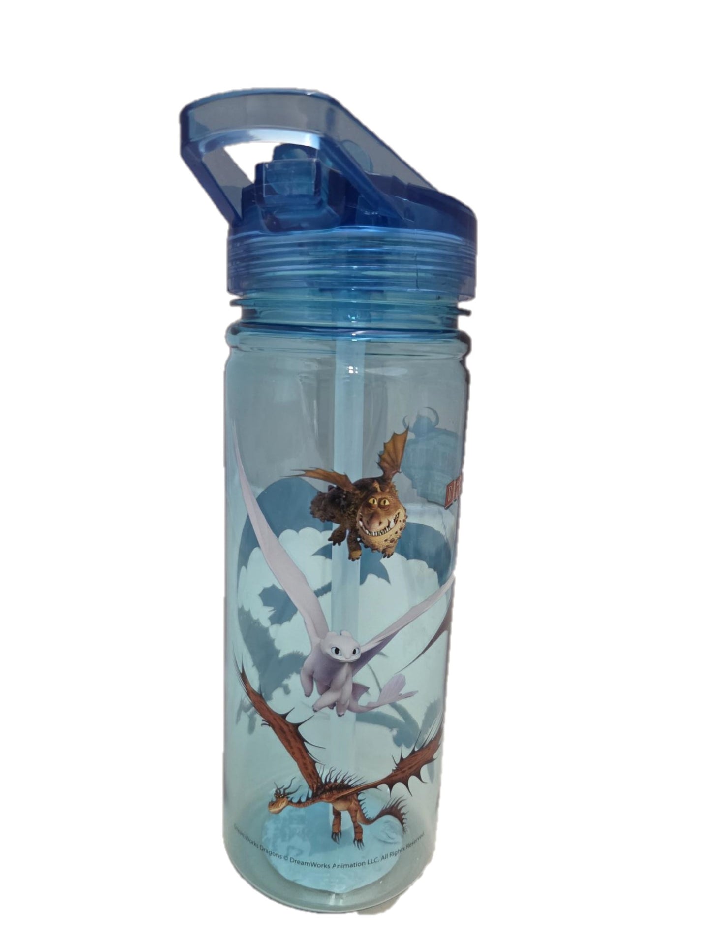 Drachenzähmen Trinkflasche