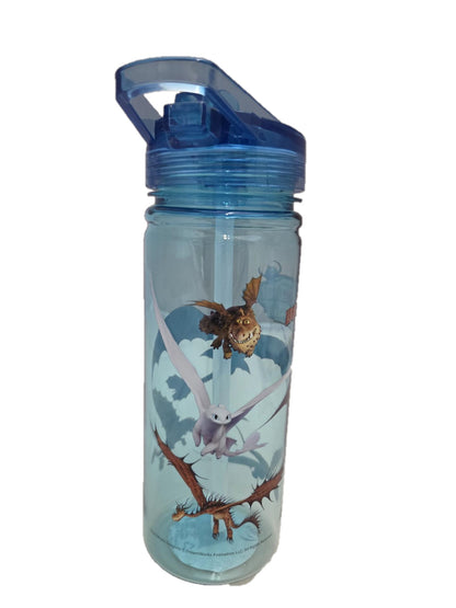 Drachenzähmen Trinkflasche