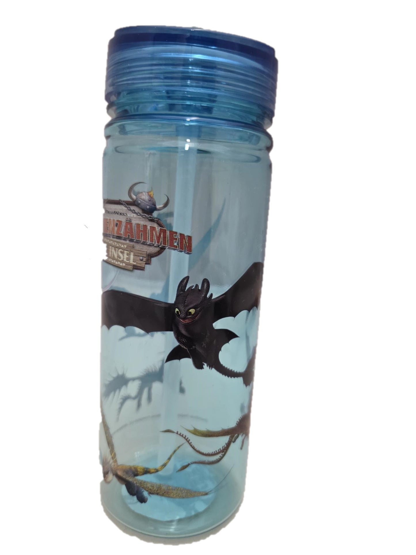 Drachenzähmen Trinkflasche