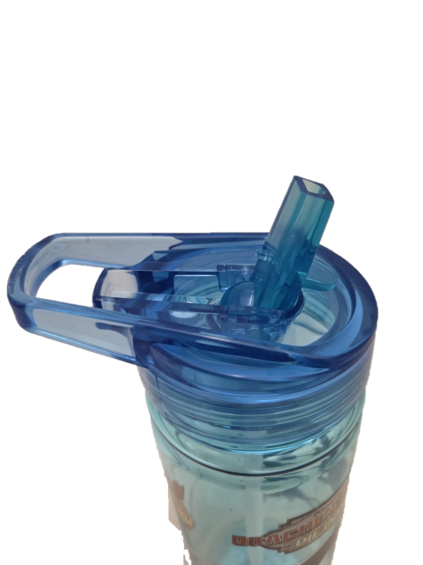 Drachenzähmen Trinkflasche