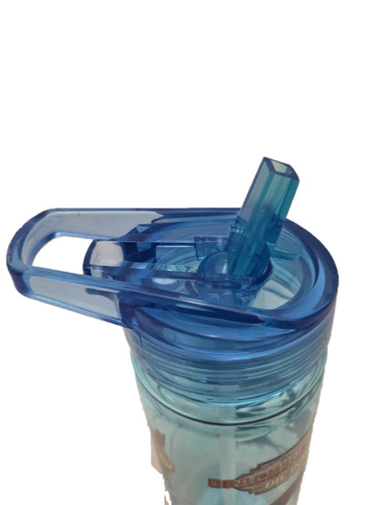 Drachenzähmen Trinkflasche